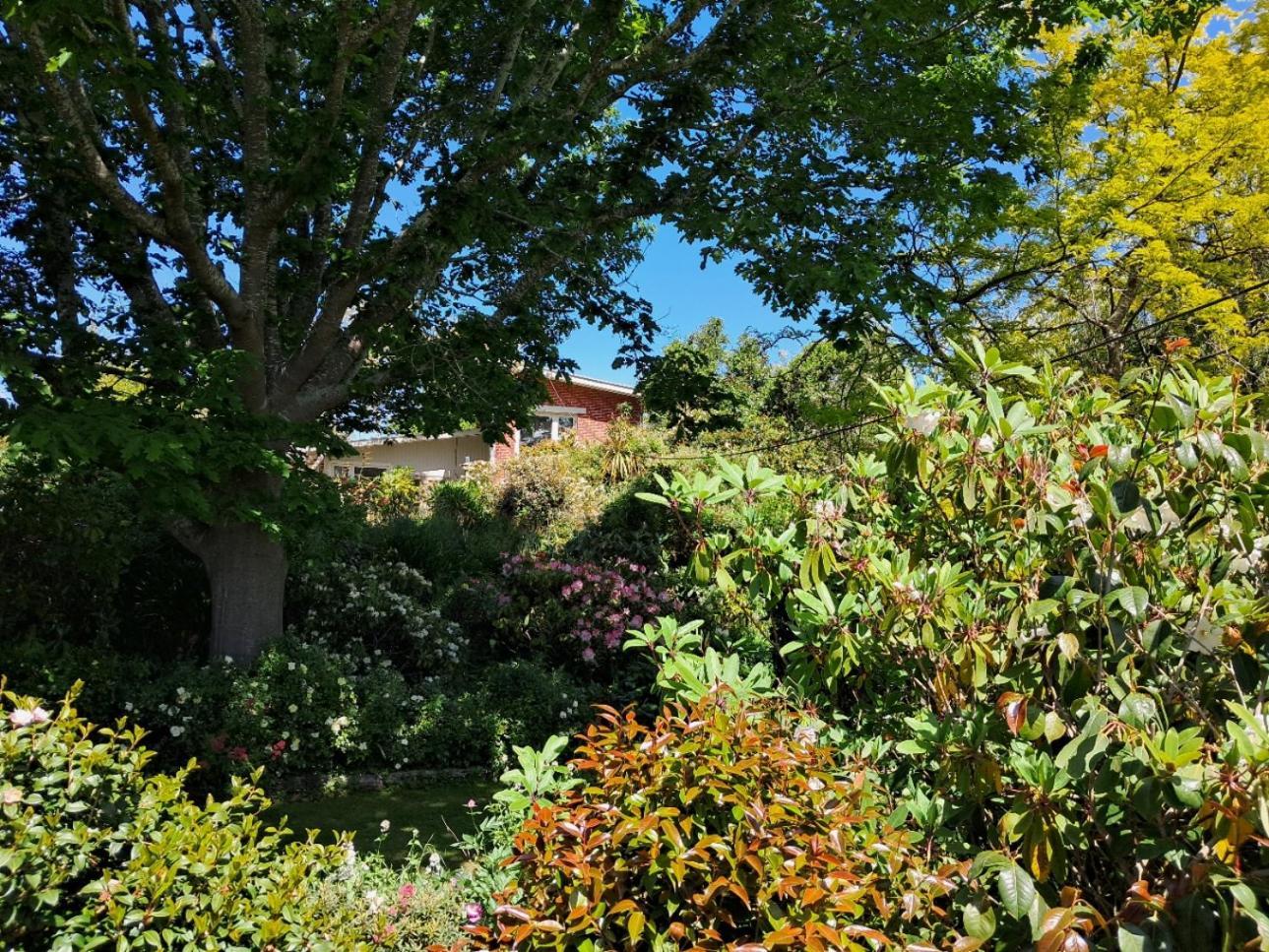 Niloc Bed & Breakfast Waimate Exterior foto